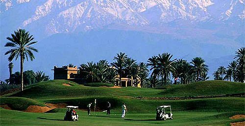 GOLF
