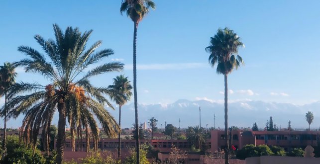 Riad CHERRATA
