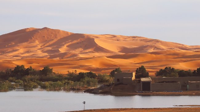 Merzouga_Detals_4