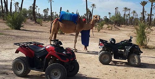 Combined quad biking and camel ride
