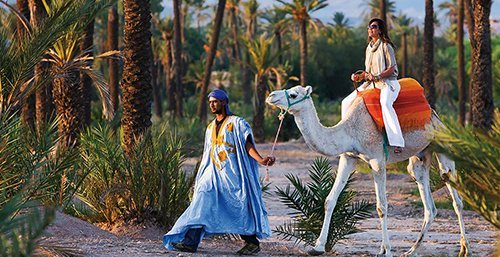 CAMEL Ride - 1
