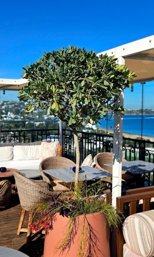 Dar El Marsa Hotel & Spa