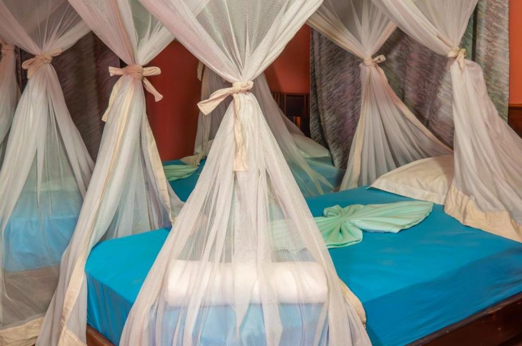 EDEN DE LA TSIRIBIHINA