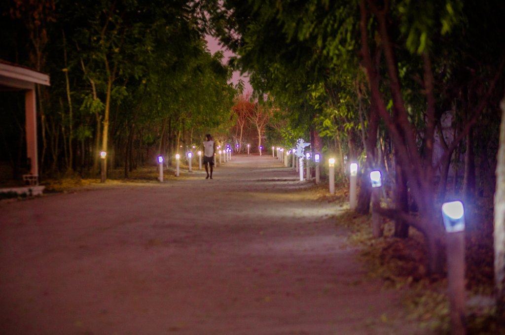 EDEN DE LA TSIRIBIHINA