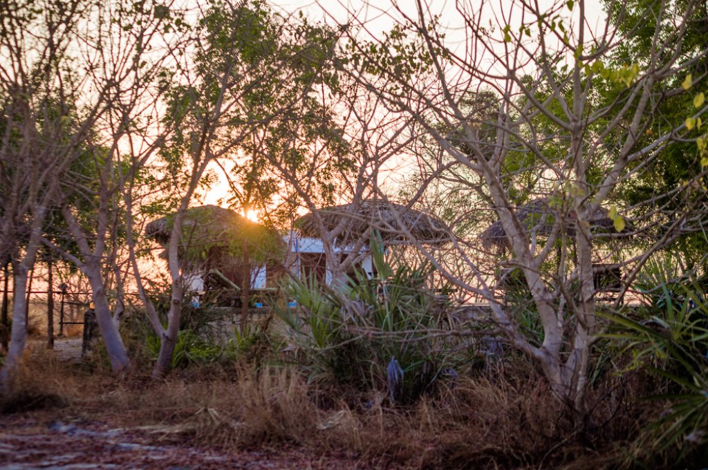 EDEN DE LA TSIRIBIHINA