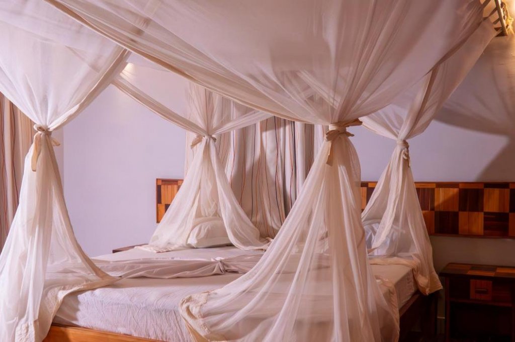 EDEN DE LA TSIRIBIHINA