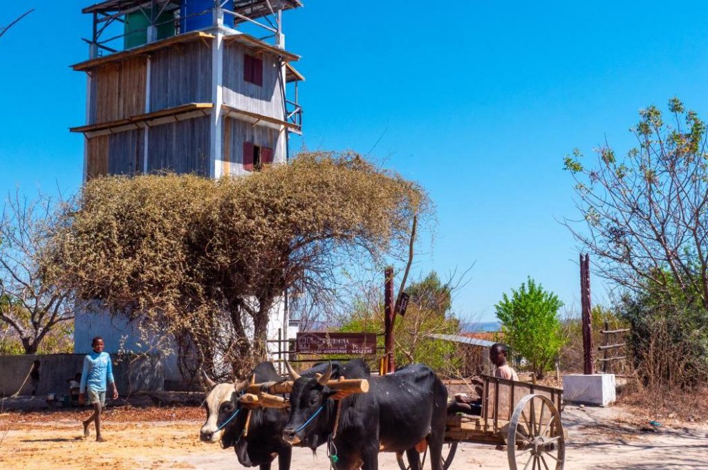 EDEN DE LA TSIRIBIHINA