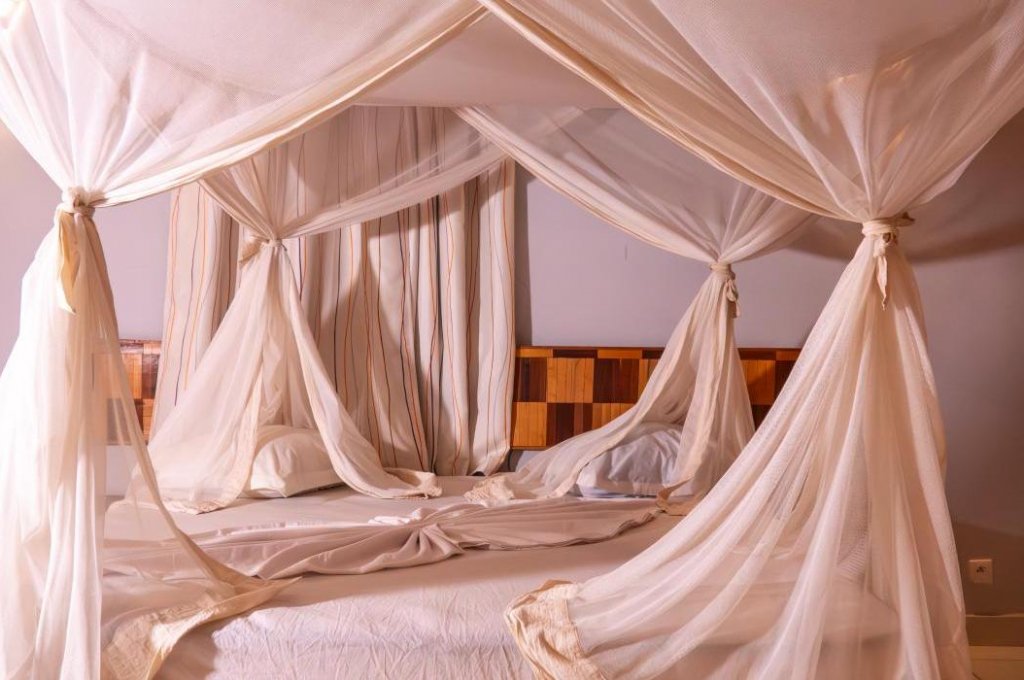 EDEN DE LA TSIRIBIHINA