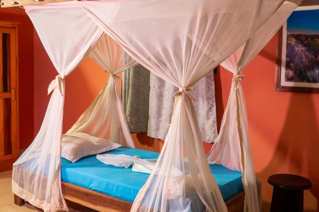 EDEN DE LA TSIRIBIHINA