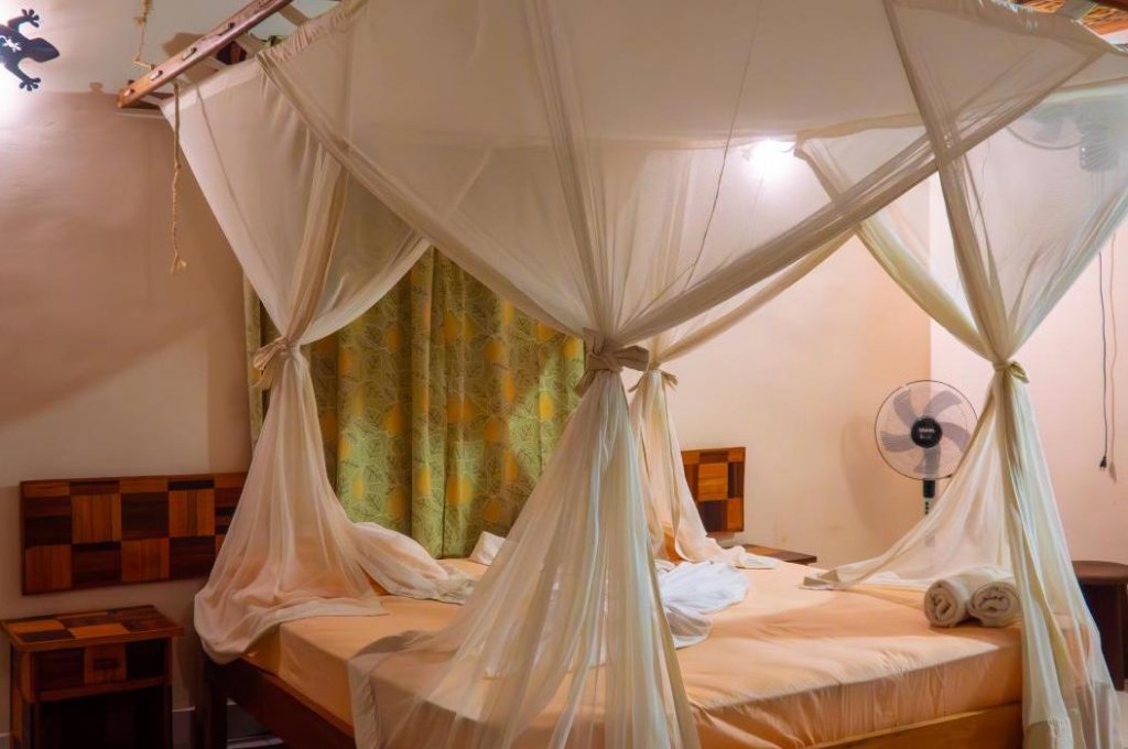 EDEN DE LA TSIRIBIHINA