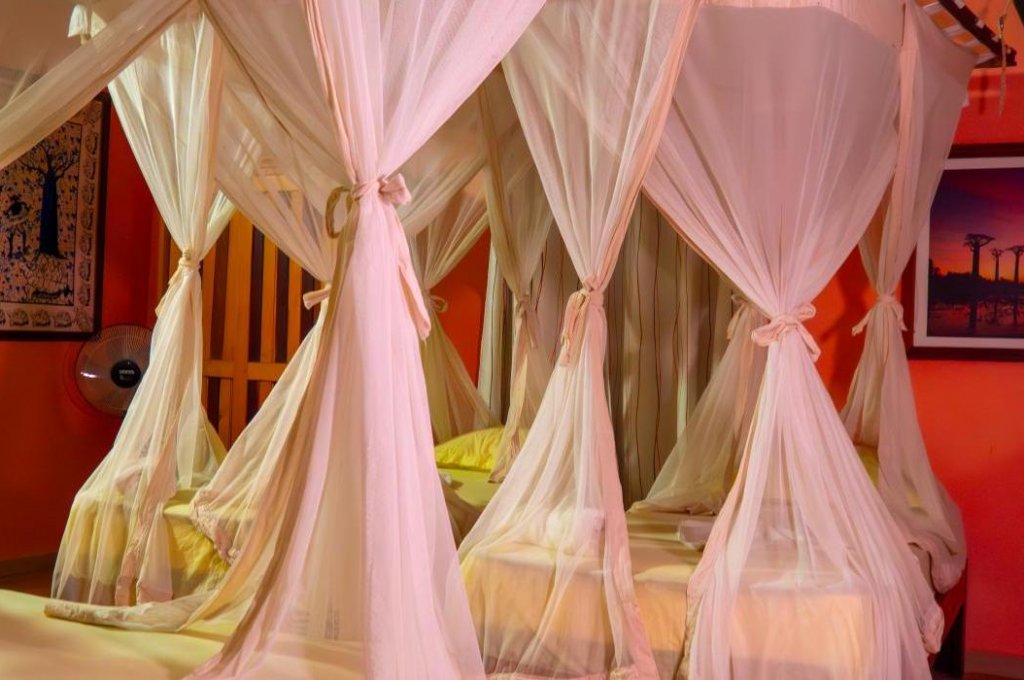 EDEN DE LA TSIRIBIHINA