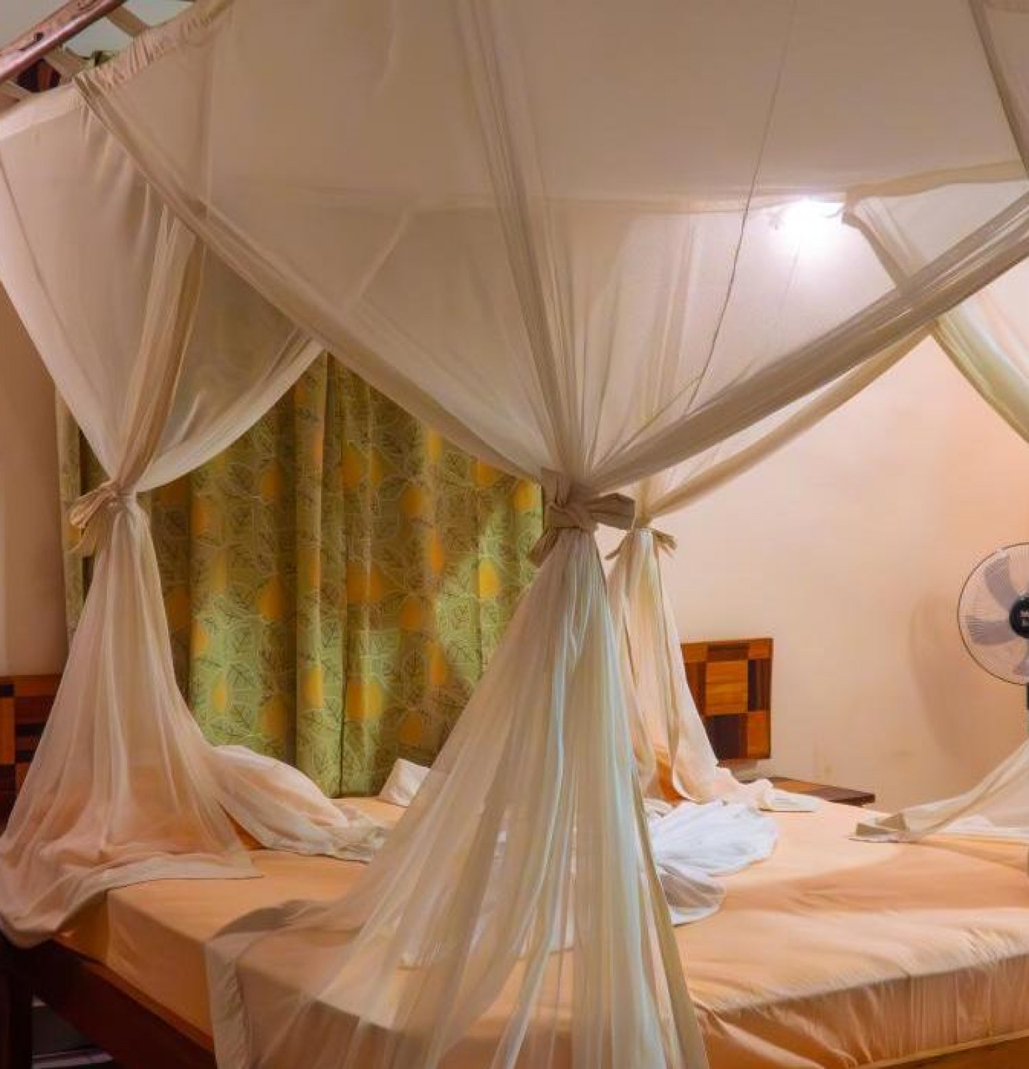 EDEN DE LA TSIRIBIHINA 