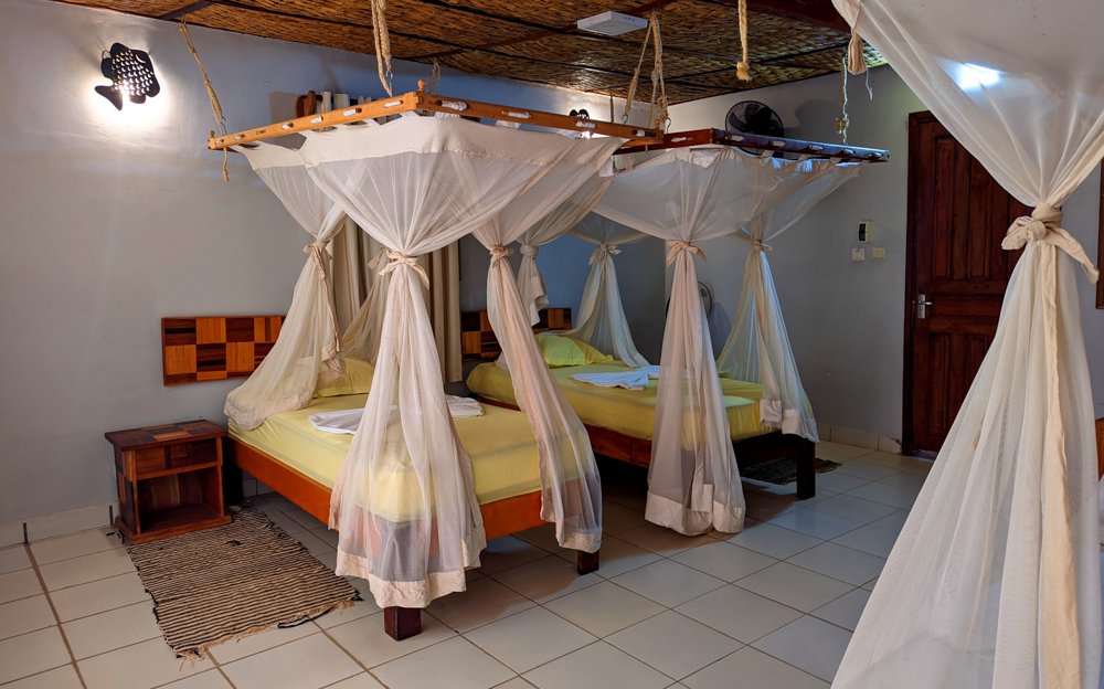 EDEN DE LA TSIRIBIHINA