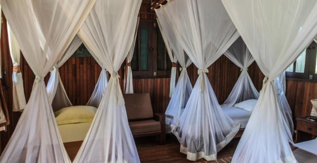 KIMONY RESORT
