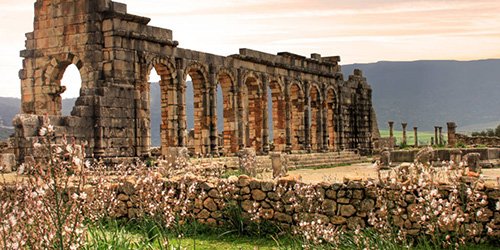 Discovery of Volubilis