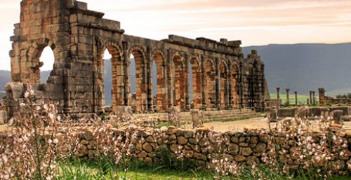 Discovery of Volubilis - 1