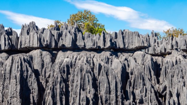 relaisdukirindy_grandtsingy