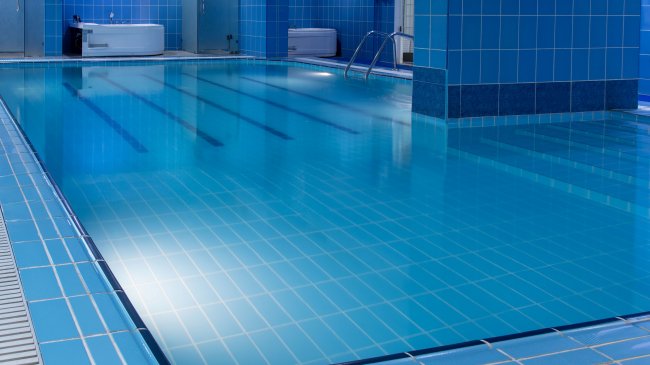 Swim - 2