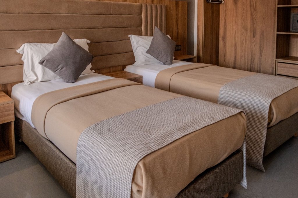 Double or Twin Room with City View