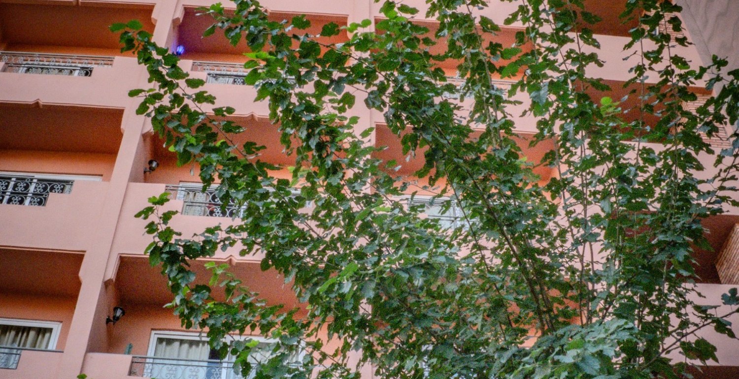 Hotel Gallery Image 15