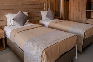 Double or Twin Room with City View