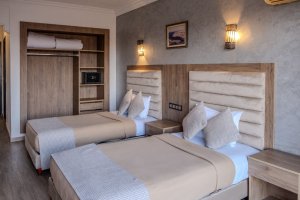 Double or Twin Room with Pool View