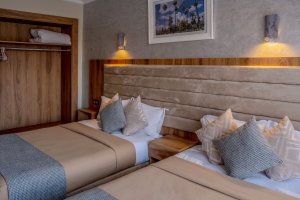 Double or Twin Room with City View