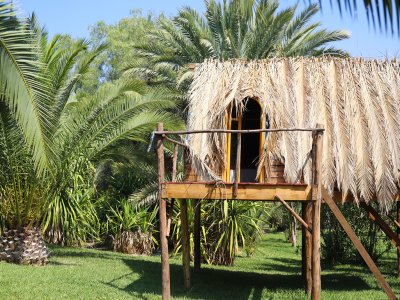 Villa Le Perroquet Bleu