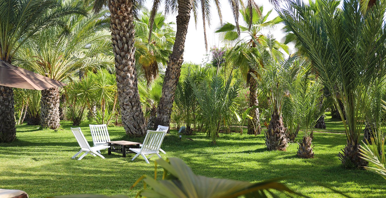 Villa Le Perroquet Bleu