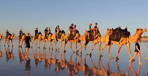 Activities in Essaouira