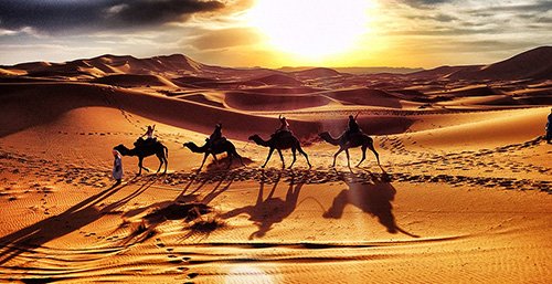 الرحلات - 1