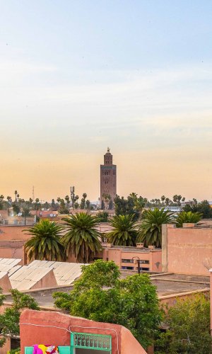 Riad Luzia
