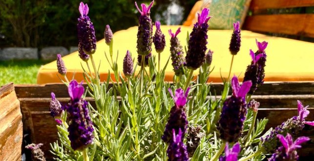 Look At Me - Serviced Lofts & Studios