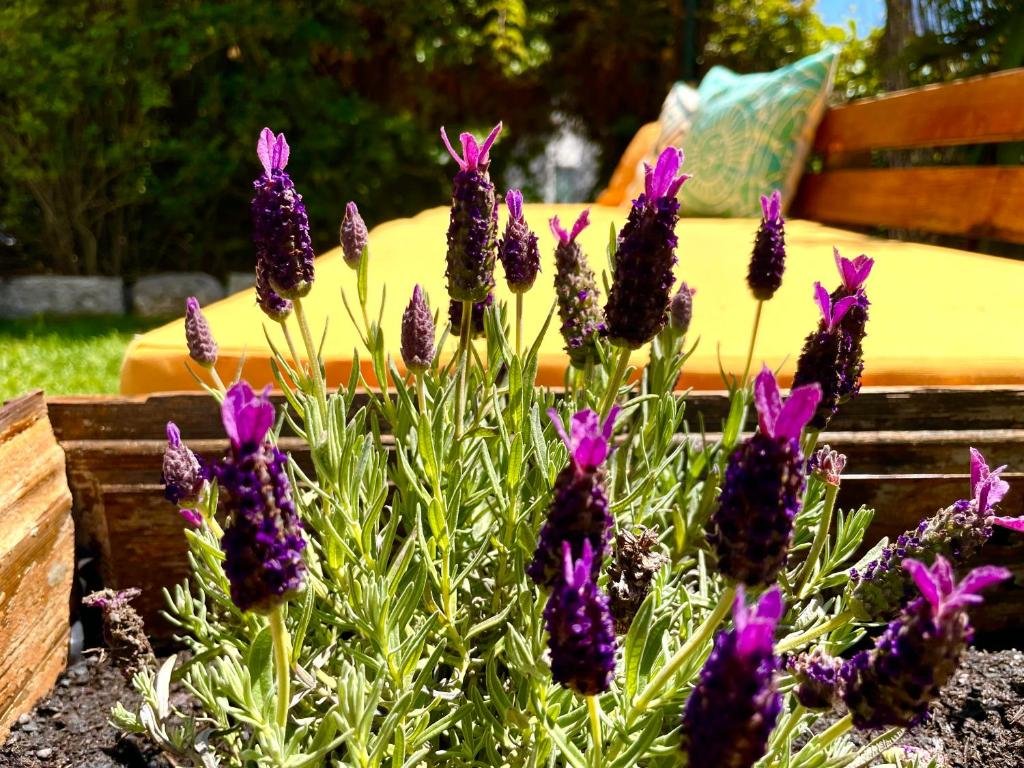 Look At Me - Serviced Lofts & Studios