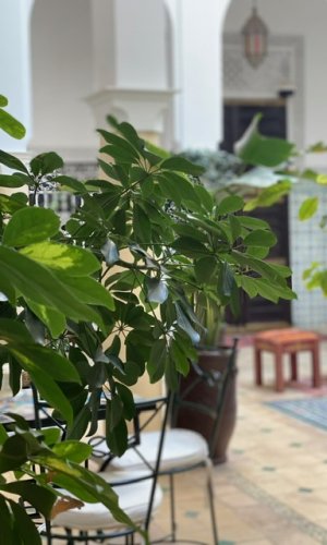 Riad Hamid Hotel & Spa
