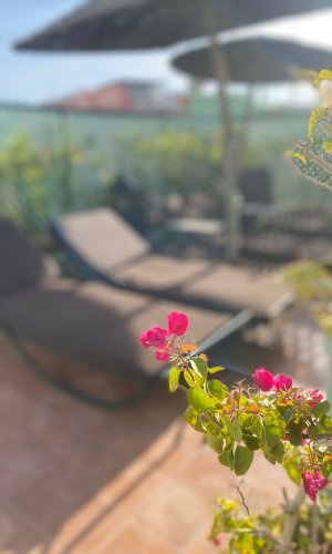 Riad Hamid Hotel & Spa
