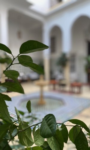 Riad Hamid Hotel & Spa