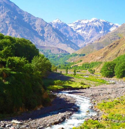 Tagesausflug ins Ourika-Tal