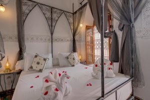 "Junior suite" numurs