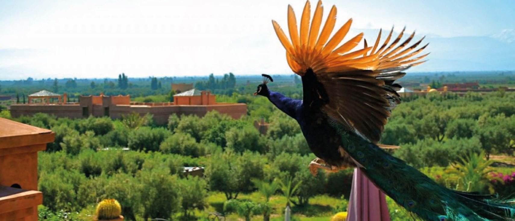 Riad Al Mendili Private Resort & Spa