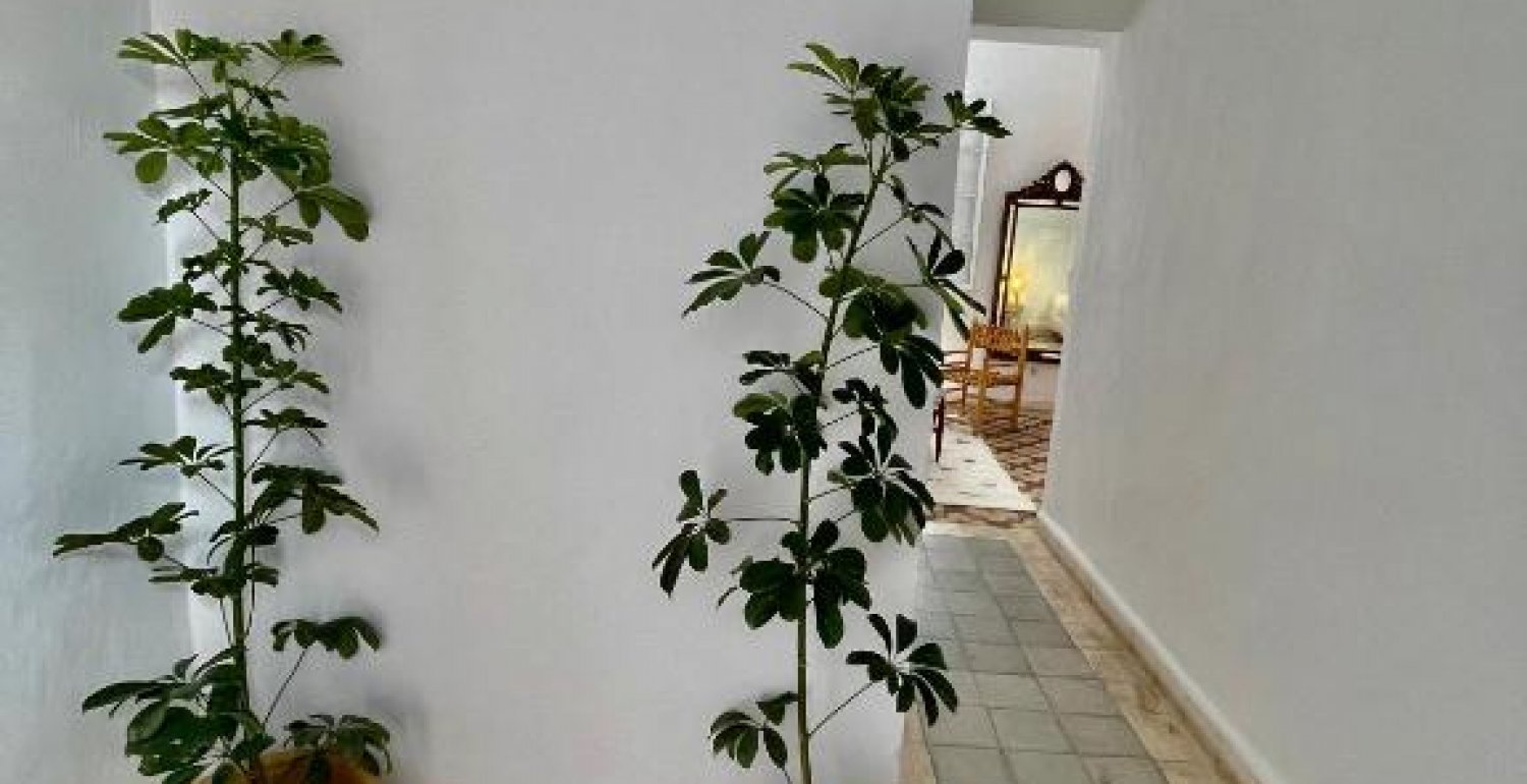 Riad entier - 19