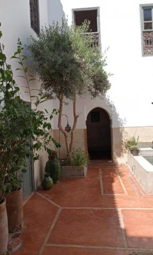 Riad le Jardin de Mina