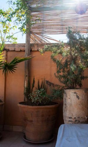Riad le Jardin de Mina