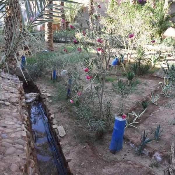 Riad le petit jardin