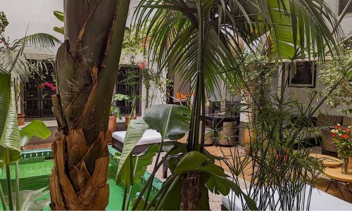 Riad Jardin Des Sens & Spa