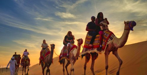 DROMEDARY SAFARI