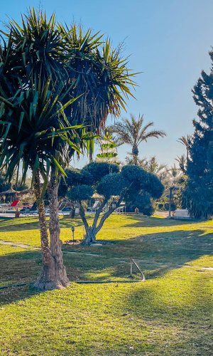 LE BLED DE GRE