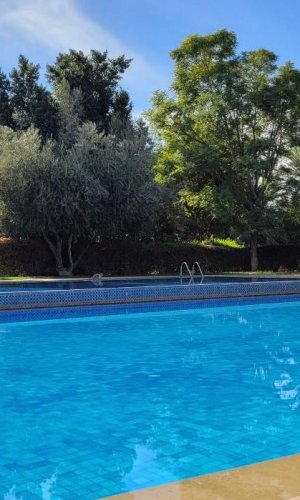 Palmeraie village Marrakech