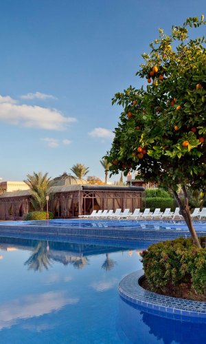 Palmeraie village Marrakech