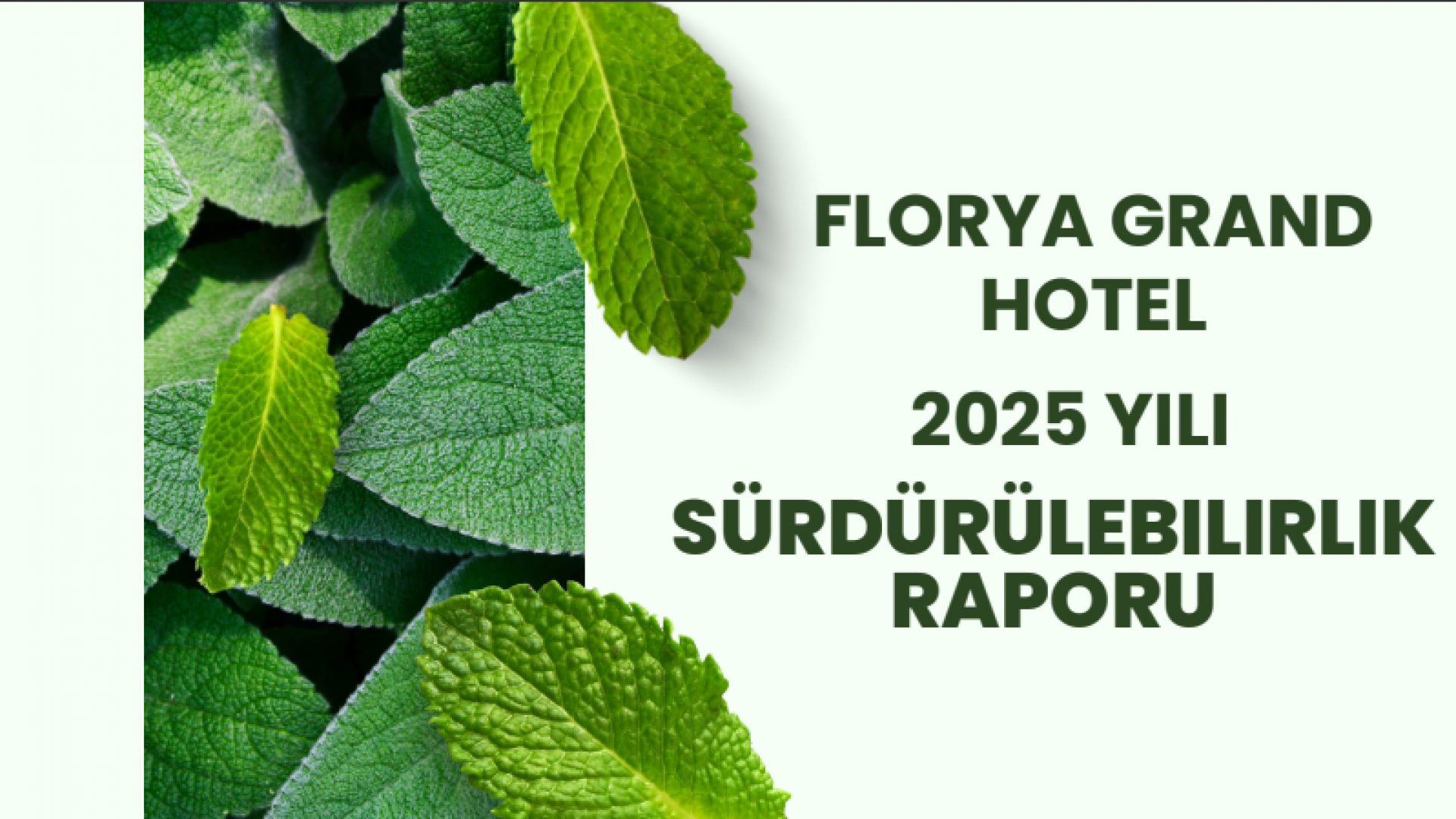 Florya Grand Hotel